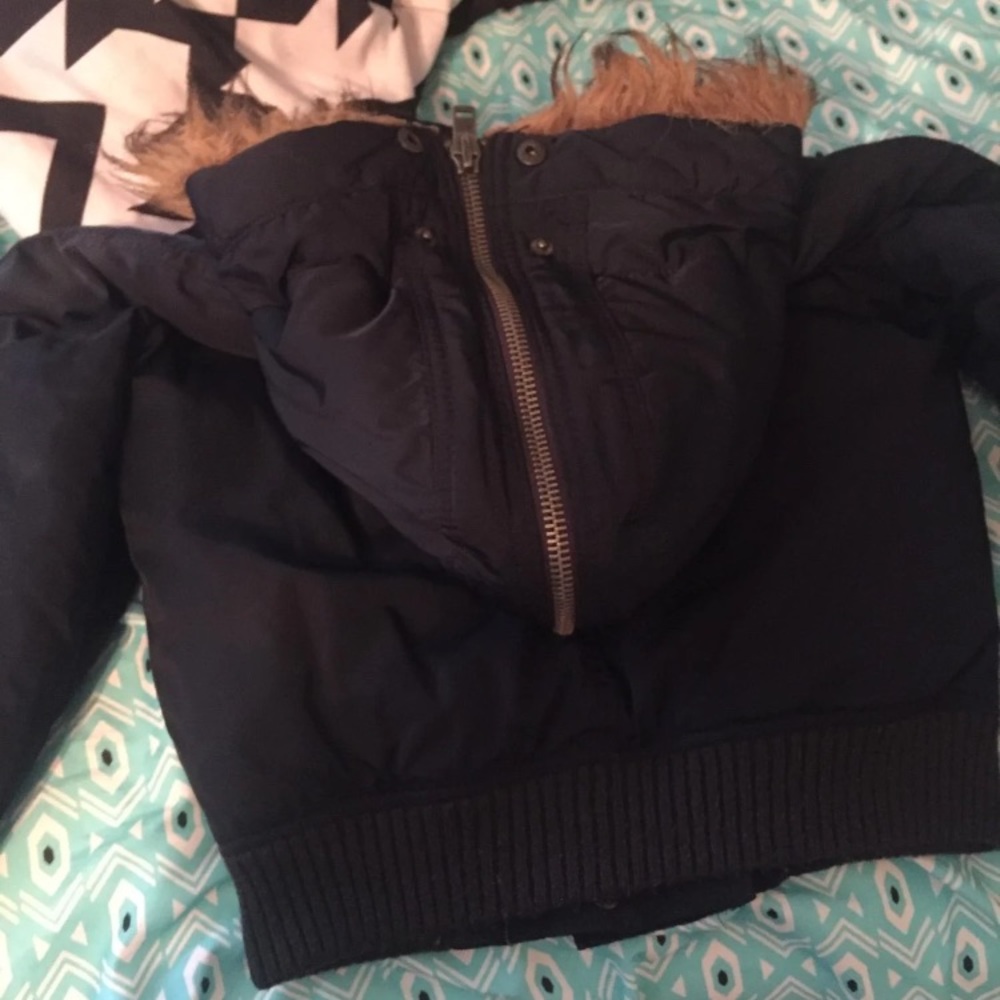 Jacket - Picture 5 of 6